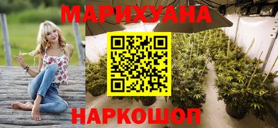 шишки Гагарин