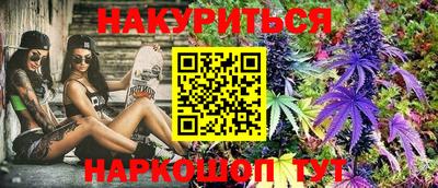mdpv Гатчина